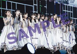 N46_8thBDL_clearfile_HMV.jpg